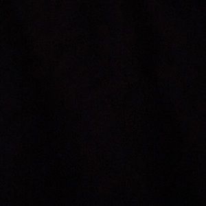 Meet your Posher, Darius